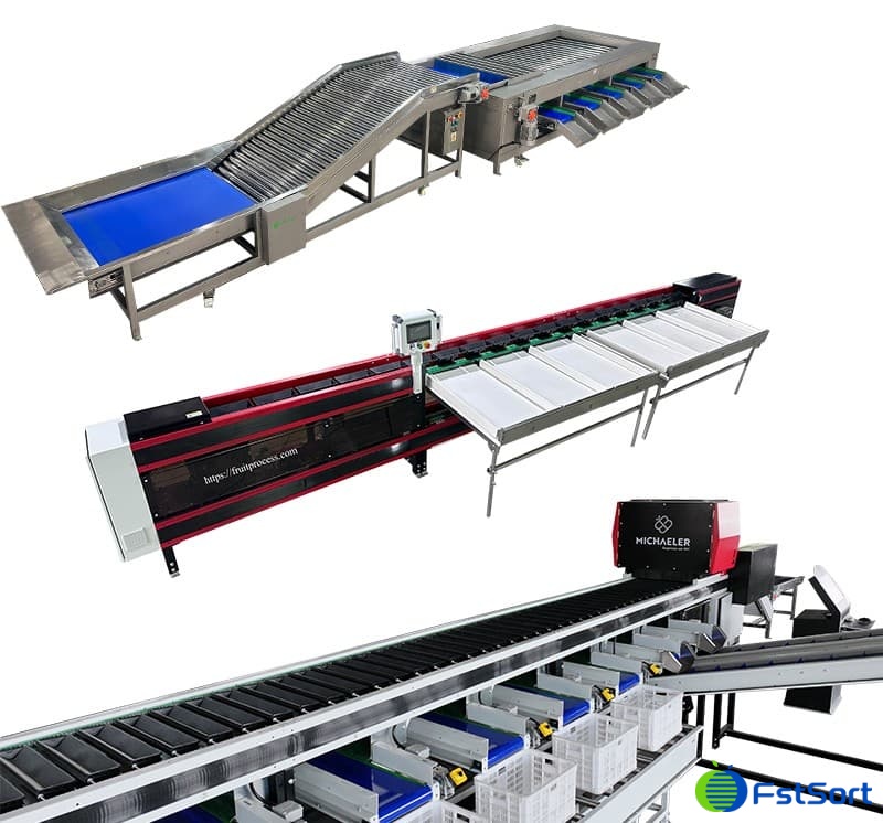 images/1742798478088sweet potato sorting grading line.jpg